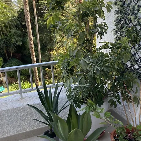 Appartamento 2 Muy Luminosos Con Grandes Terraza