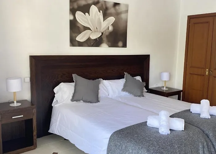 Apartament 2 Muy Luminosos Con Grandes Terraza