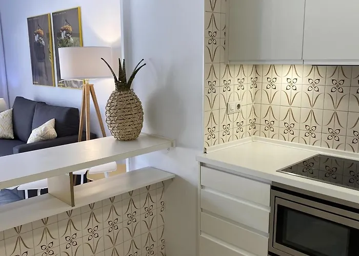 2 Muy Luminosos Con Grandes Terraza *