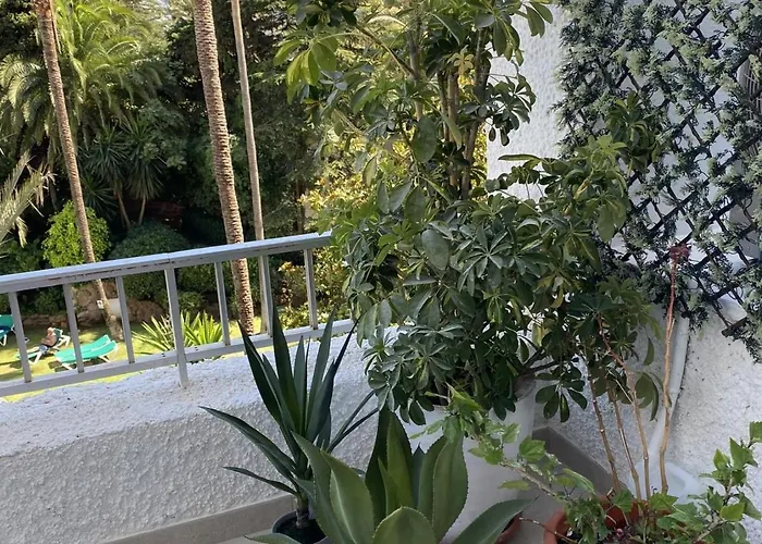 דירה 2 Muy Luminosos Con Grandes Terraza